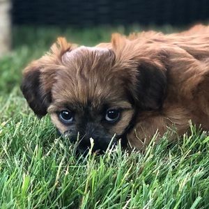Meet your Posher, Catherine